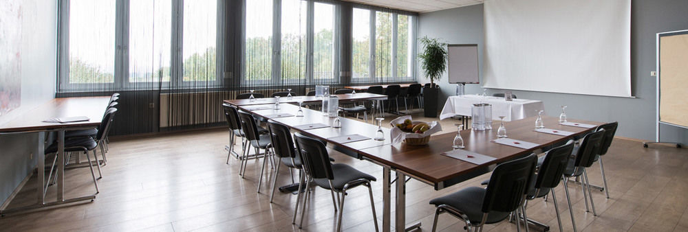 Design-konferenzhotel & Restaurant Steinernes Schweinchen Kassel